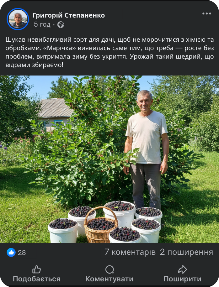 Заголовок