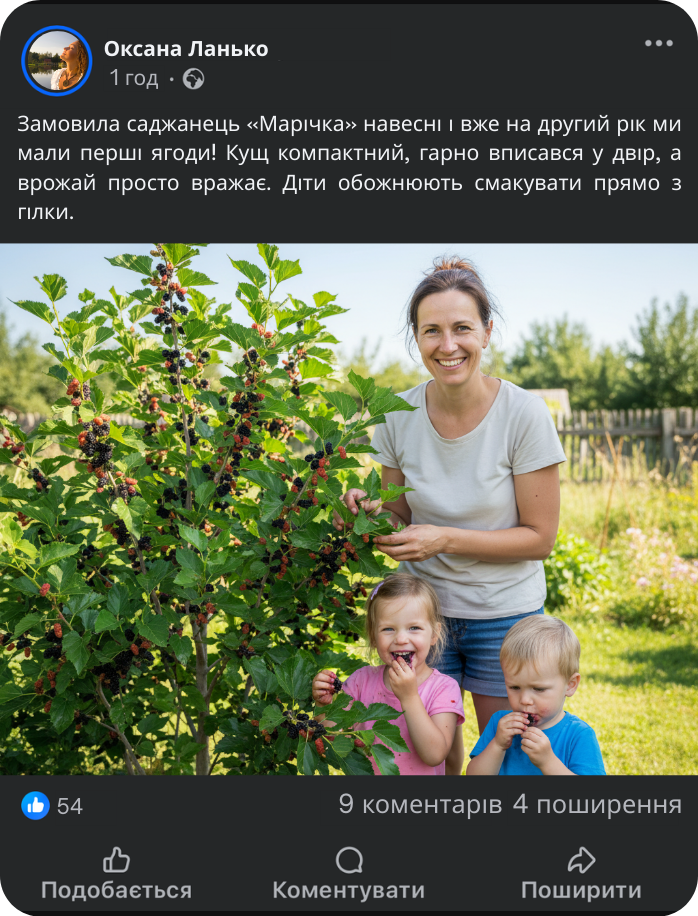 Заголовок